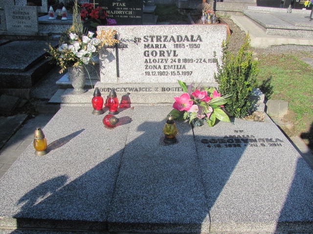 Grób Alojzy Goryl