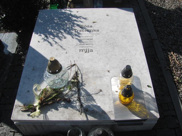 Grób Róża Trzcionka