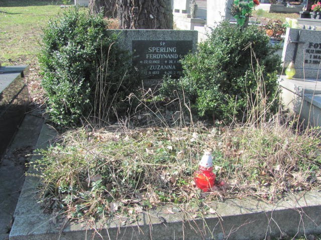 Grób Ferdynand Sperling